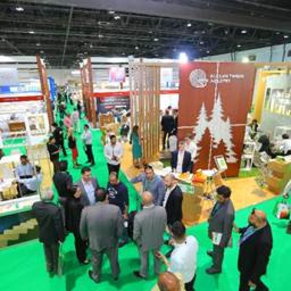 Dubai Woodshow