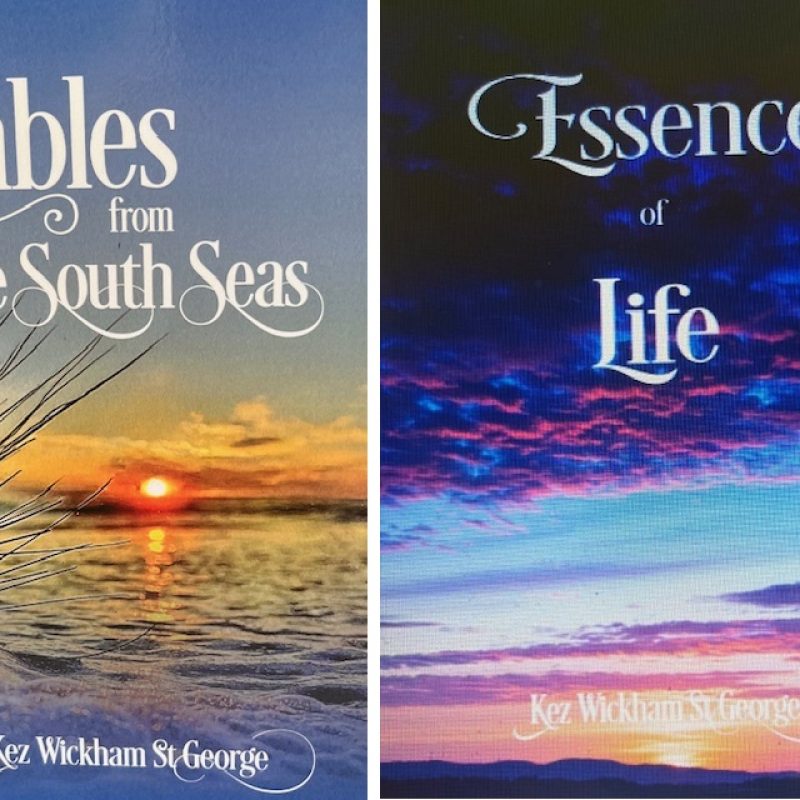 Book review for twin books - By Kez Wickham St George