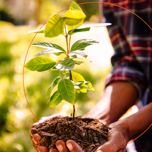 Cedar Oxygen deploys 100 million $ fund – Phase II Despite all the challenges in Lebanon