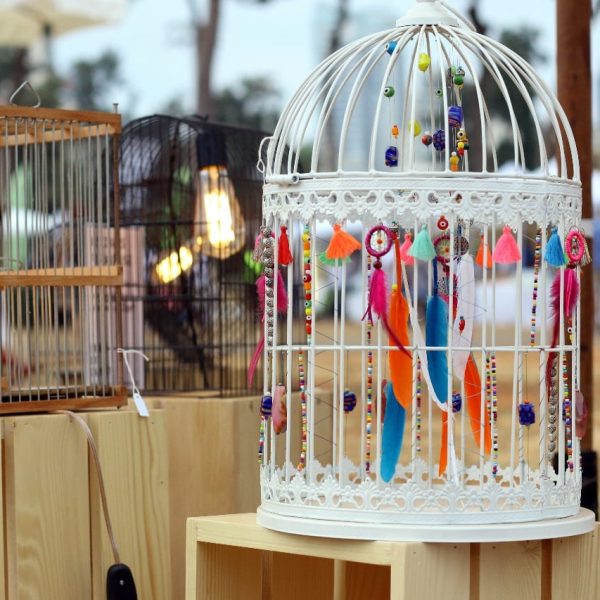 Art Cages