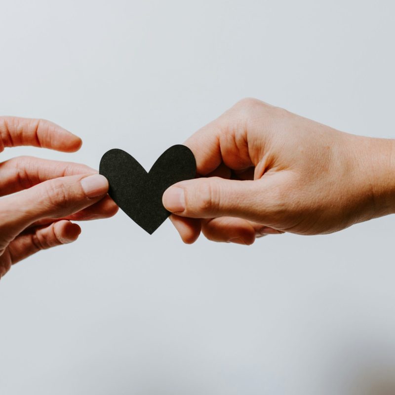 kelly sikkema 4le7k9XVYjE unsplash